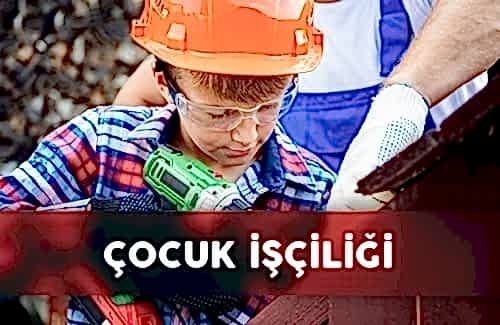  GRI 408: Çocuk İşçiliği