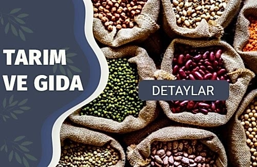 Bakliyat ve Hububat Üretiminde Gıda Güvenliği Yönetim Sistemi