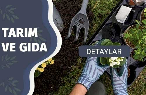 Bitki Koruma Ürünleri Ruhsatlandırma ve Danışmanlık