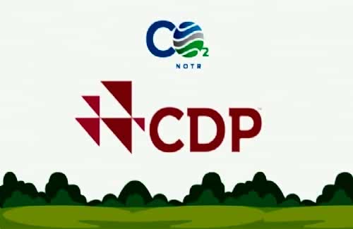 CDP Raporu Nedir?