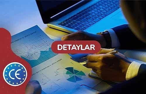 Deprem Performans Analizi