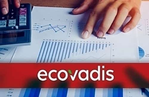 EcoVadis Derecelendirme Fiyatları