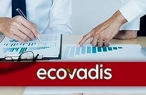 EcoVadis Derecelendirme Kategorileri
