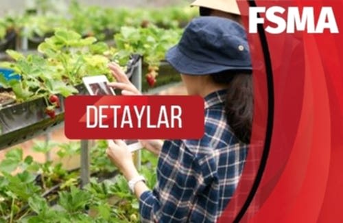 Gıda Güvenliği Modernizasyonu Yasası (FSMA)