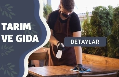Gıda İşletmelerinde Hijyen ve Sanitasyon Denetimi