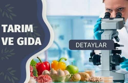 Gıda Sektörü Kalite Ve Gıda Güvenliği Sertifikaları