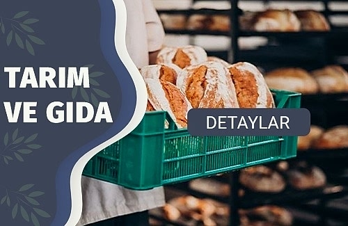 Gıda Tesisleri İçin Çevresel İzleme Programı (EMP)