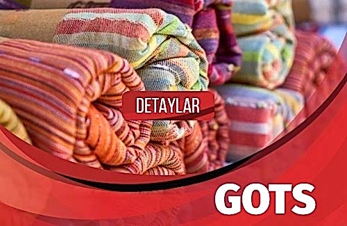 GOTS Belgesi