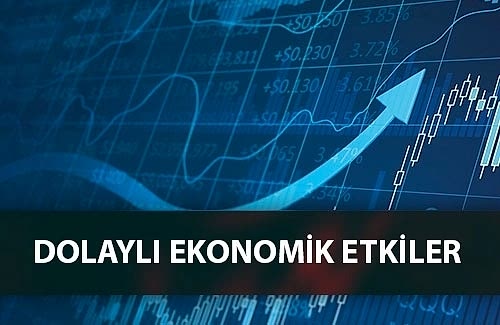 GRI 203: DOLAYLI EKONOMİK ETKİLER