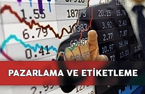 GRI 417: Pazarlama ve Etiketleme
