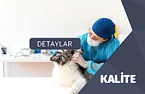 GVP Belgesi (İyi Veteriner Uygulamaları)