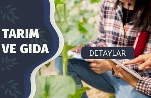 HACCP Belgesi