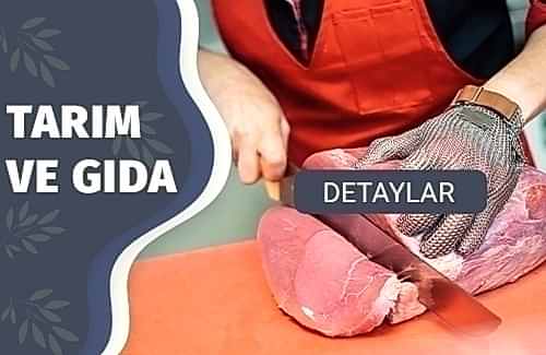 Helal Gıda Sertifikası