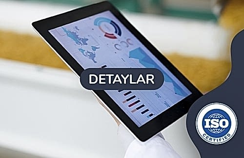 ISO 10019 - Kalite Yönetim Sistemi