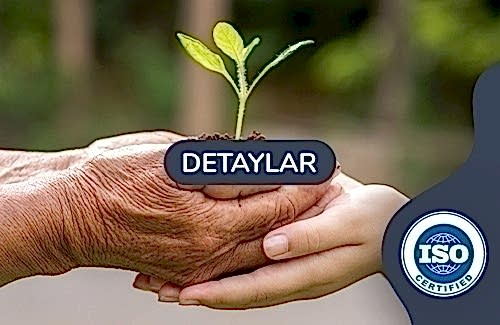 ISO 14001 Çevre Yönetim Sistemi Belgesi