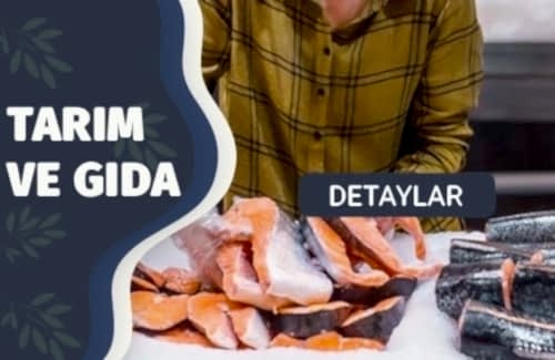 ISO TC 234 Balıkçılık ve Su Ürünleri Agriculture Belgesi 