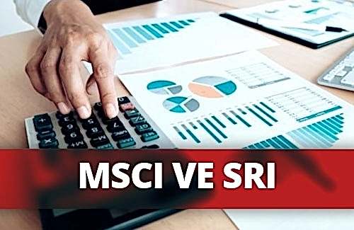 MSCI Global Sürdürülebilirlik ve SRI Endeksleri