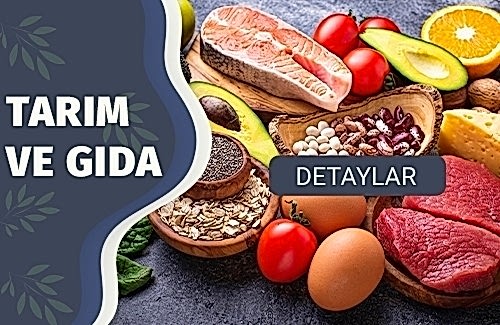 Organik Gıda Belgesi