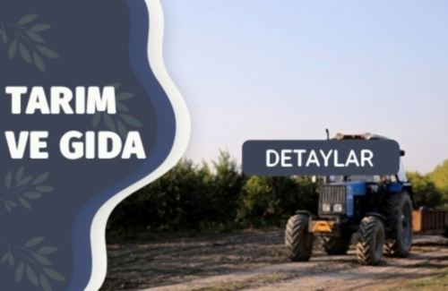 Organik Tarım Belgesi