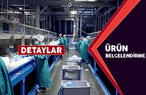 RAL (Kalite Güvence Alman Enstitüsü ve Sertifikasyon)