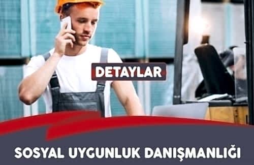SEDEX Danışmanlığı
