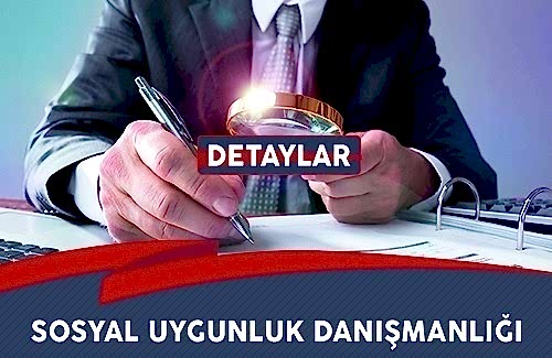 SEDEX Denetimleri