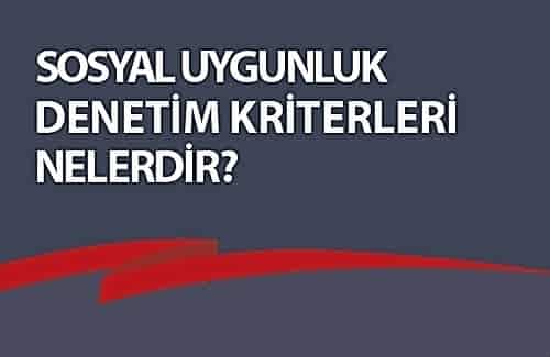 Sosyal Uygunluk Denetim Kriterleri Nelerdir?