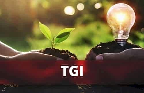 TGI Think Green Initiative Belgesi