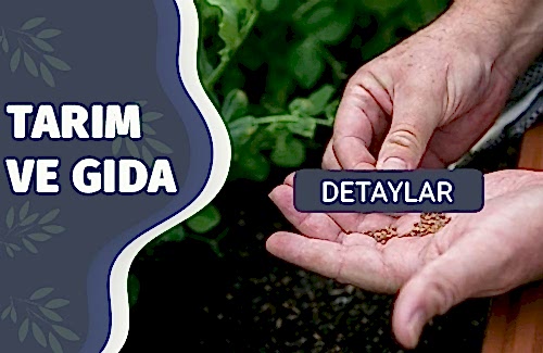 Tohum Üretiminde Gıda Güvenliği Yönetim Sistemi (GGYS)