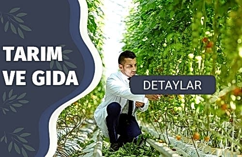 USDA (ABD Tarım Bakanlığı) Belgesi