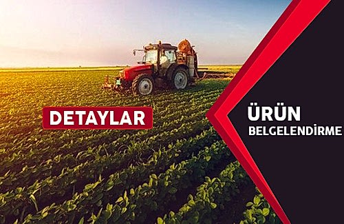 VCA (Vehicle Certification Agency) Belgesi