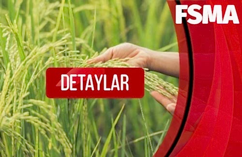 Yemler İçin FSPCA Önleyici Kontrol Uzmanı (PCQI)