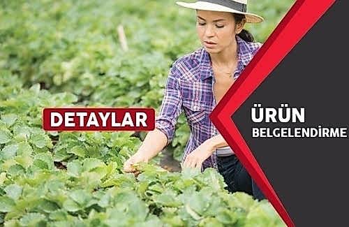 Yerli Malı Belgesi